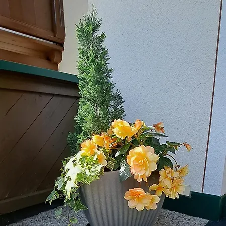 Steinberger Daire Hippach