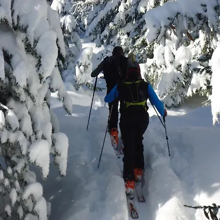 Apartman Steinberger *