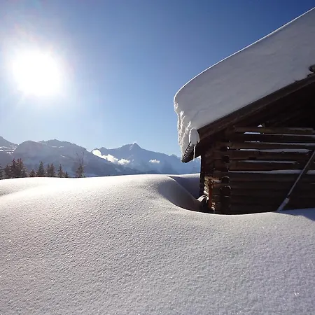 Daire Steinberger Hippach