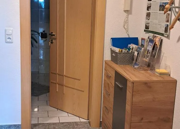 아파트 Steinberger *