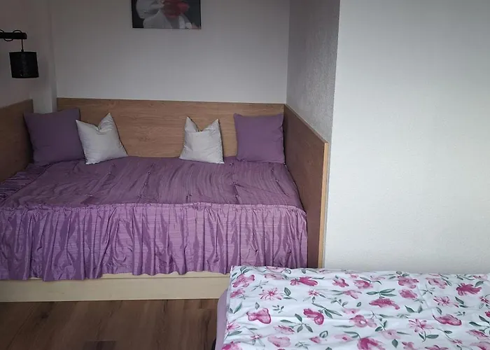 Steinberger 힙파흐