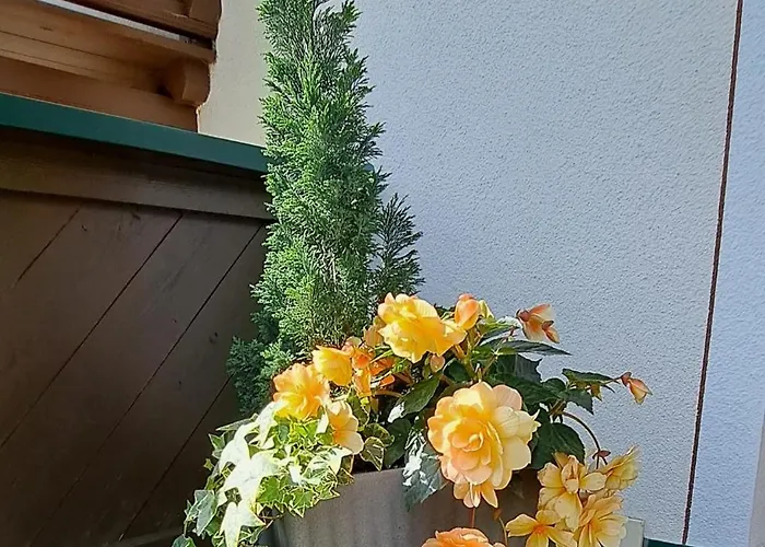 Steinberger 아파트 힙파흐