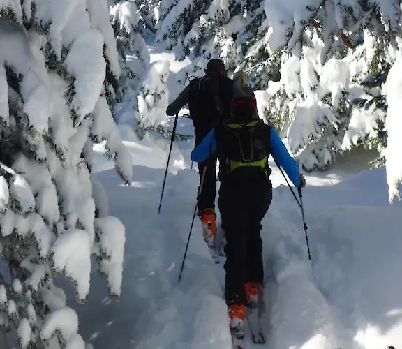 아파트 Steinberger *