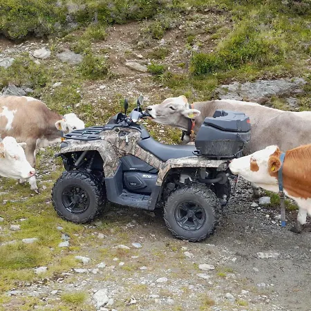 斯坦伯格公寓 *