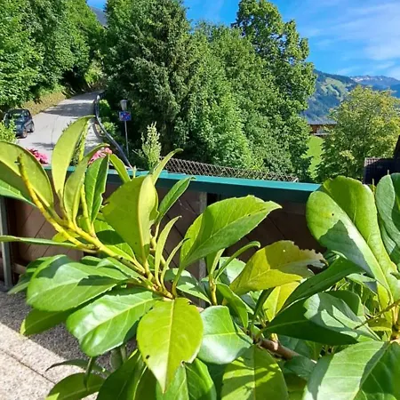 斯坦伯格公寓 * 希帕赫