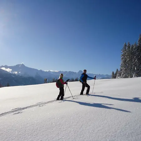 斯坦伯格公寓 公寓 希帕赫