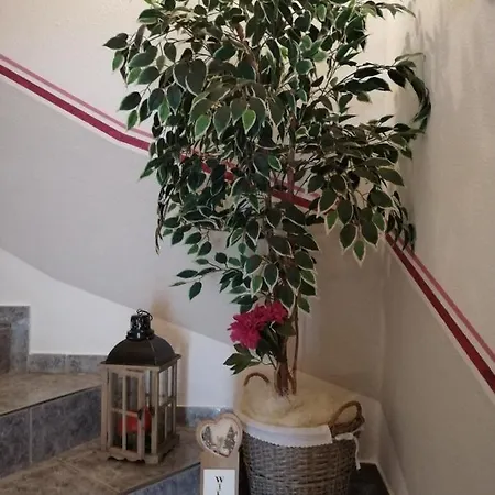 斯坦伯格公寓 * 希帕赫