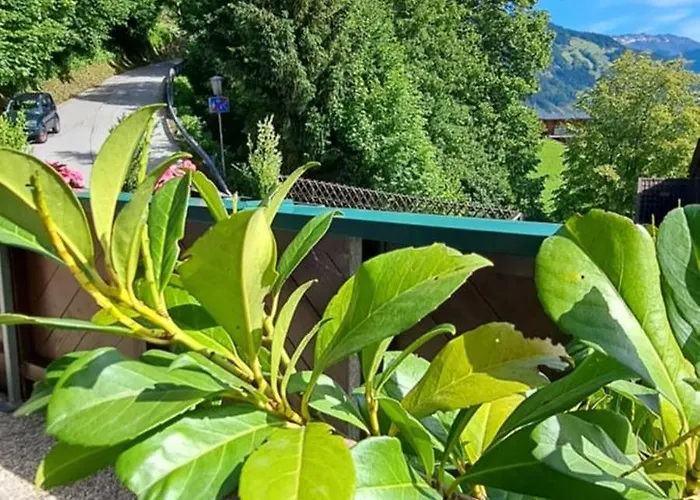 Steinberger * ヒパッハ