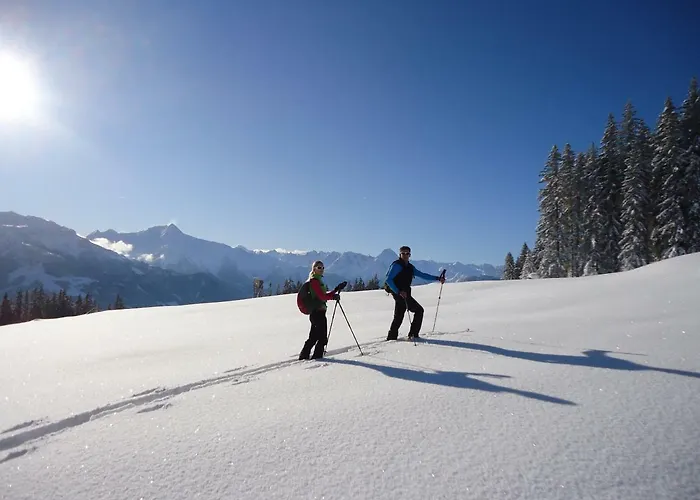 Steinberger アパート ヒパッハ